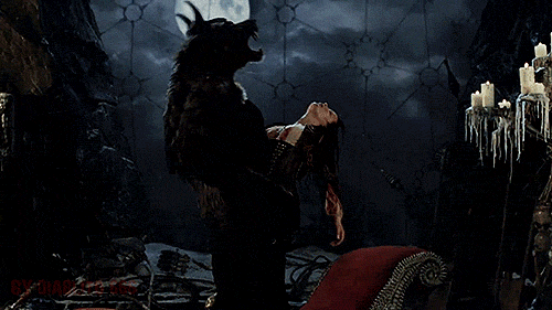 How To Cure Lycanthropy Maegan A Stebbins Maverick Werewolf S Den